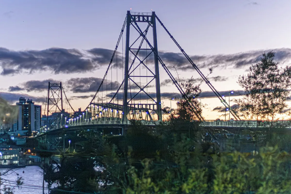 Ponte Hercílio Luz iluminada ao entardecer em Florianópolis, com céu colorido e vegetação em primeiro plano.