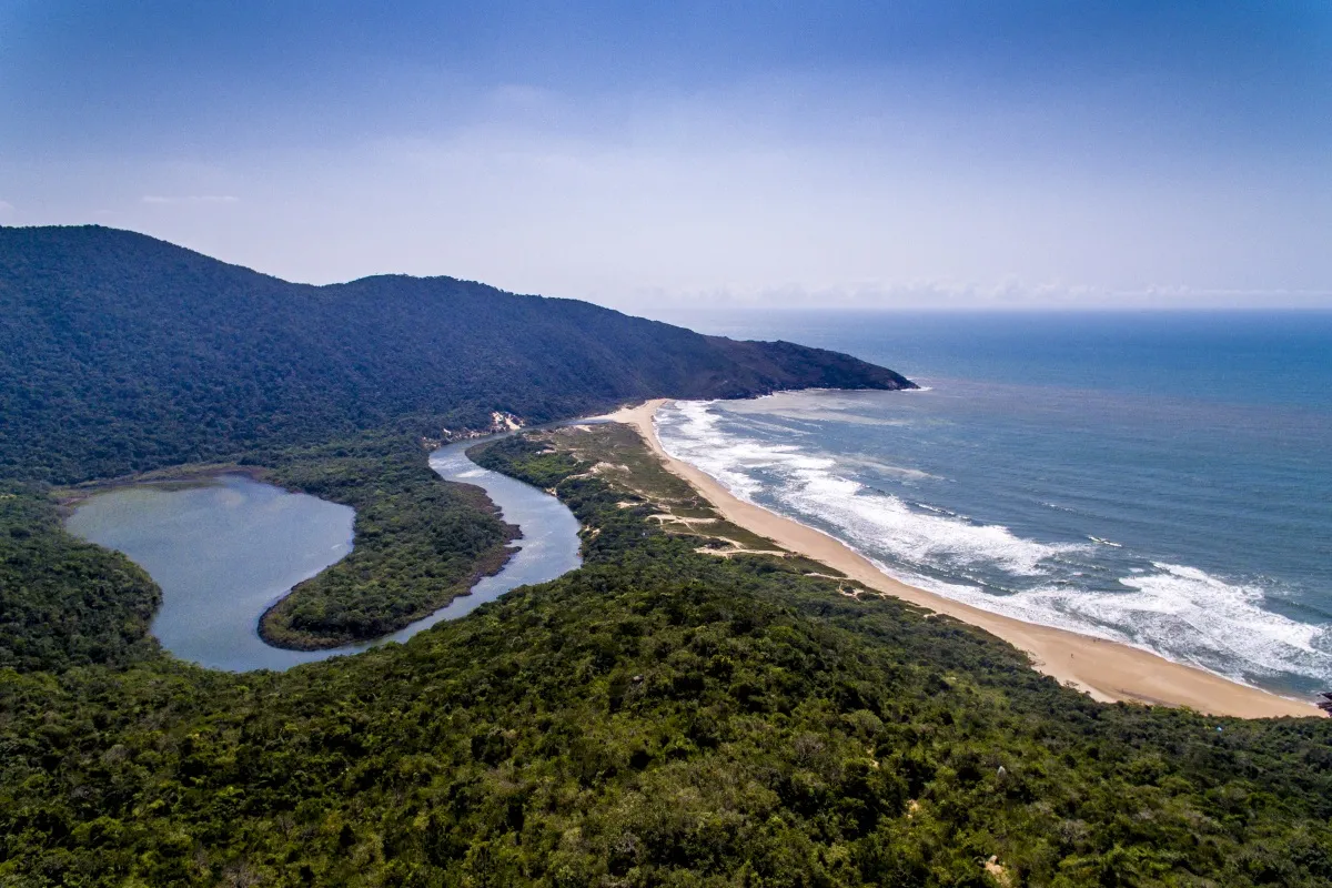 Imagem aérea mostrando a Lagoa da Conceição serpenteando entre vegetação densa até encontrar o mar e faixa de areia em Florianópolis.