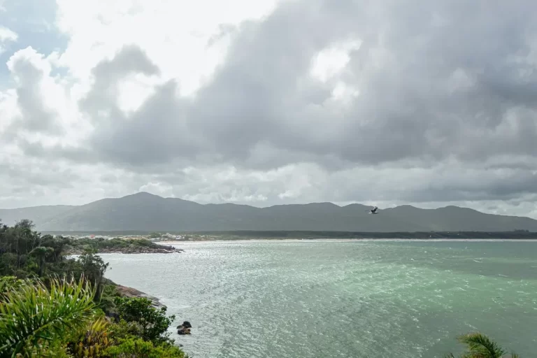 Vista panorâmica da Praia da Barra da Lagoa em dia nublado, mar verde-azulado, morros e vegetação exuberante, pássaro voando.