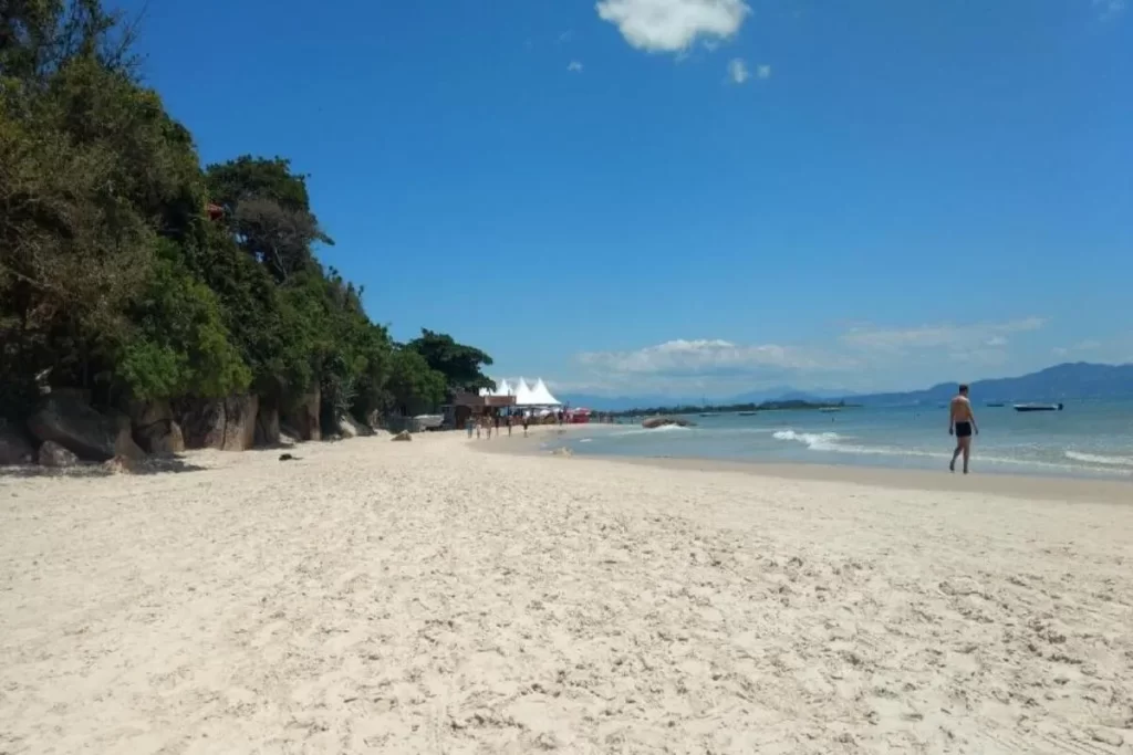Vista da areia da Praia Forte em Florianópolis em um dia ensolarado, com vegetação na lateral, mar calmo e pessoas ao longe.