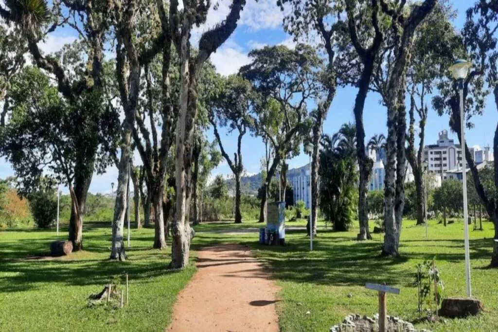 Trilha de terra no Jardim Botânico de Florianópolis, cercada por árvores altas e gramado verde, com um edifício moderno visível ao fundo.