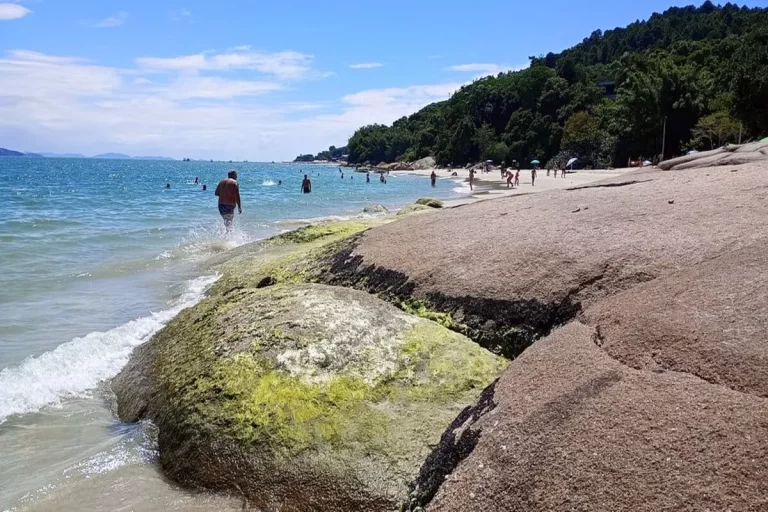 Praia da Daniela, Florianópolis, praia, pessoas na praia, mar, pedras na praia, Santa Catarina, Brasil, turismo