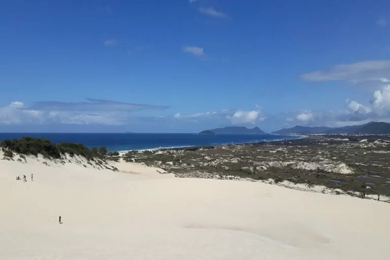 Dunas da Praia da Joaquina, Brasil: Vista panorâmica das dunas de areia, vegetação, mar e montanhas.