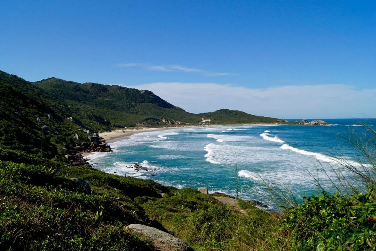 Vista ampla da praia da Galheta em um dia ensolarado, com a vegetação verde exuberante cobrindo as encostas, a areia clara e o mar azul-turquesa com ondas suaves.