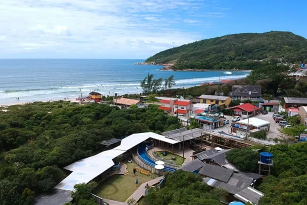 Vista aérea da sede da Fundação Projeto Tamar em Florianópolis, na Praia da Barra da Lagoa. A imagem mostra a área com tanques circulares e estruturas de telhado branco no centro, cercada por vegetação densa. Ao fundo, a praia com ondas, o mar azul, e um morro verdejante.