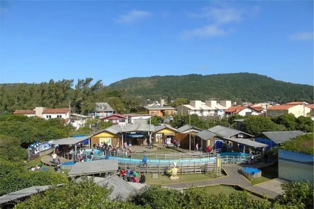 Vista panorâmica da sede da Fundação Projeto Tamar em Florianópolis. O local possui diversas estruturas de madeira, um grande tanque azul ovalado no centro, e está cercado por vegetação. Pessoas se reúnem para observar as tartarugas, e ao fundo, há casas e um morro coberto por vegetação.
