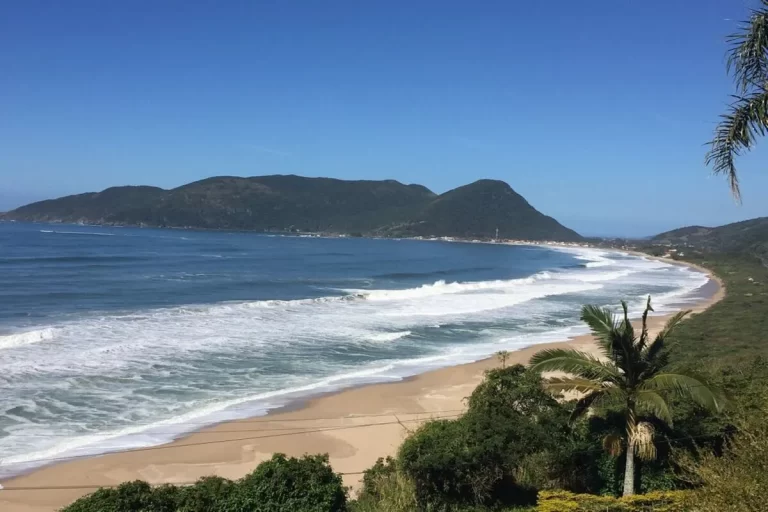Vista aérea da praia do Morro das Pedras, em Florianópolis, com a areia clara formando uma longa curva ao lado do mar azul. Ondas brancas chegam à costa, e ao fundo, um morro com vegetação densa domina a paisagem sob um céu azul e límpido.