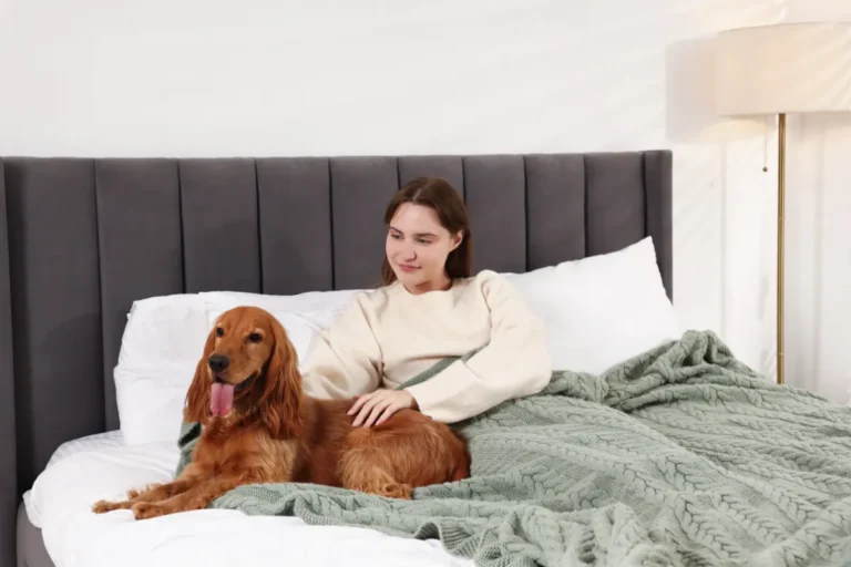 Mulher relaxando na cama de hotel ao lado de cachorro em ambiente confortável de hospedagem pet friendly