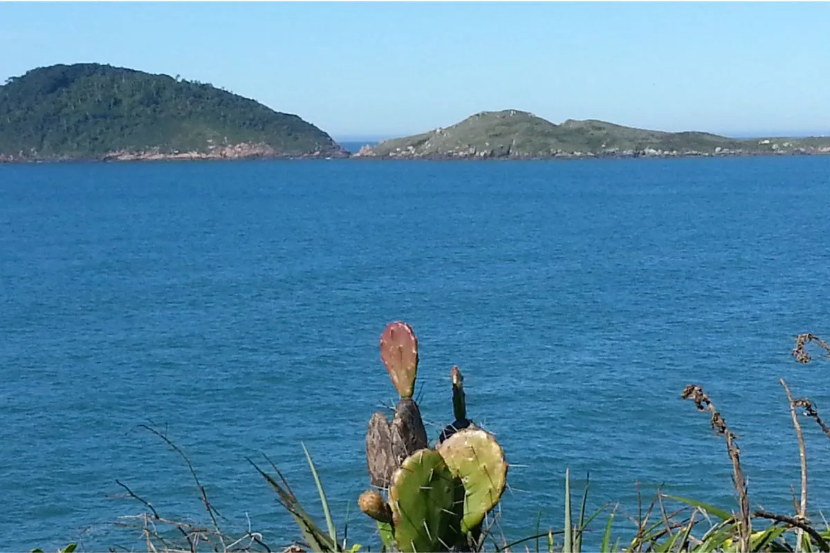 Costão e vegetação no Morro das Aranhas, próximo à Praia do Santinho
