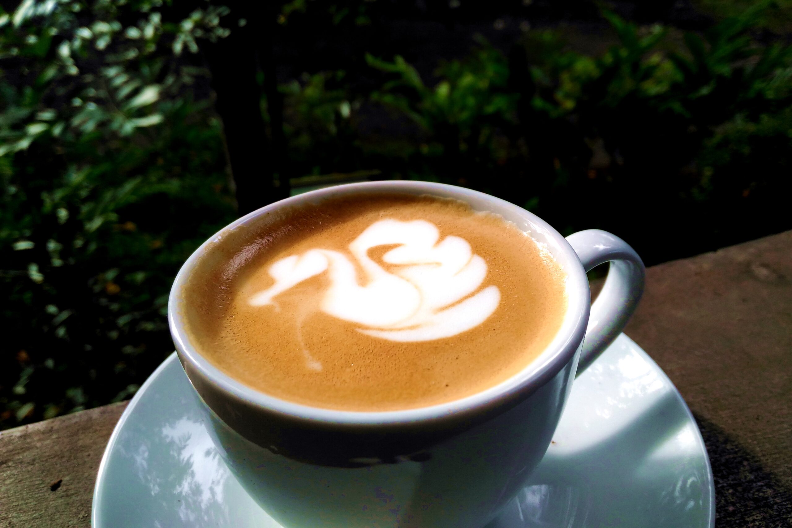 Café Cultura em Florianópolis: história, unidades, cardápio e como escolher a loja