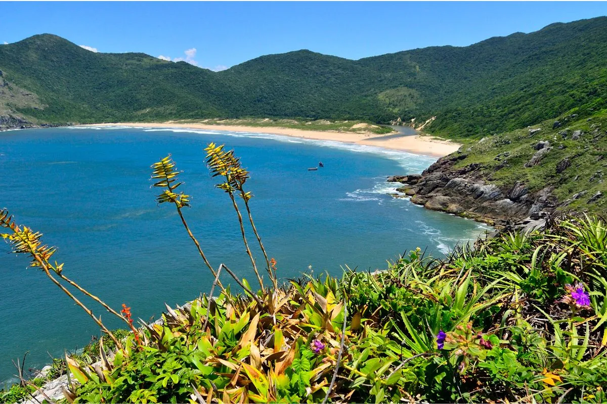 Trilhas em Florianópolis: 12 opções por nível e região