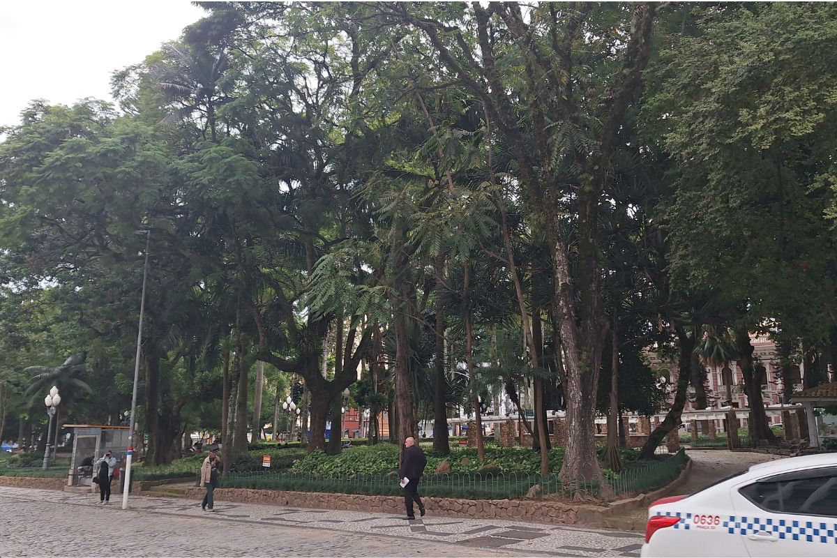 Praça XV de Novembro em Florianópolis: história, atrações e o que fazer
