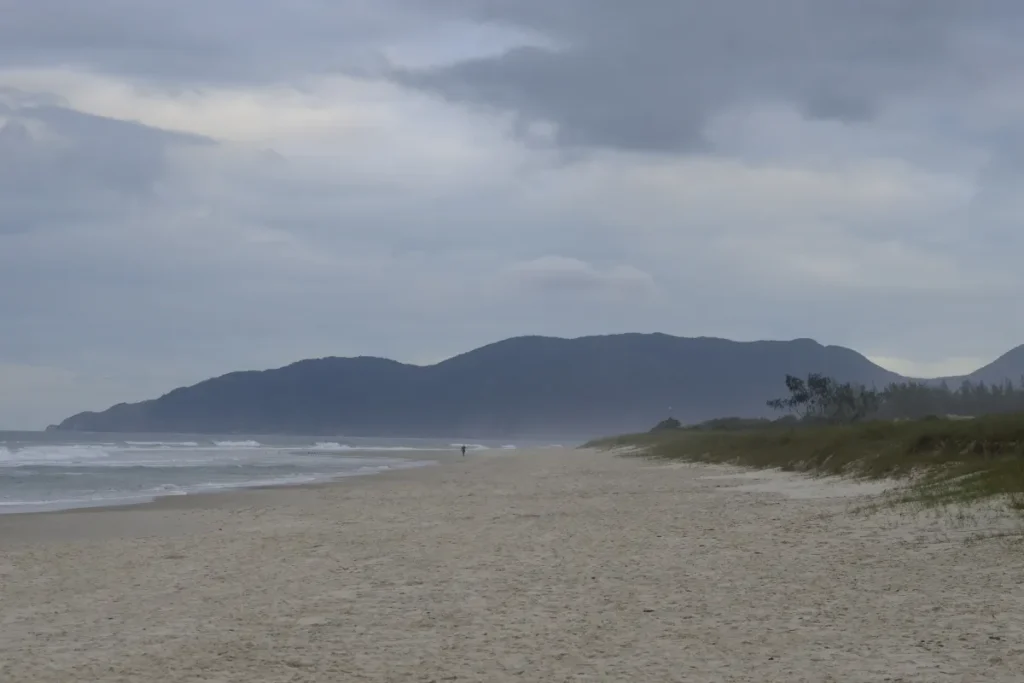 Praia extensa de Florianópolis com faixa de areia, vegetação de restinga, mar e morros ao fundo.