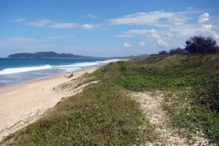 Vista da Praia do Moçambique em Florianópolis, com faixa de areia, mar, dunas e vegetação de restinga.