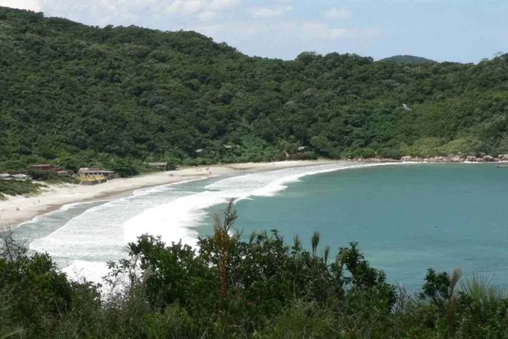 Vista panorâmica da Praia de Naufragados, cercada por Mata Atlântica no sul de Florianópolis.