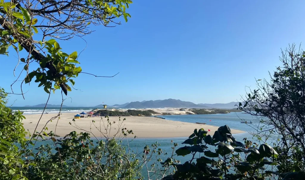 Praia de Florianópolis vista entre a vegetação, com areia, mar calmo e morros ao fundo