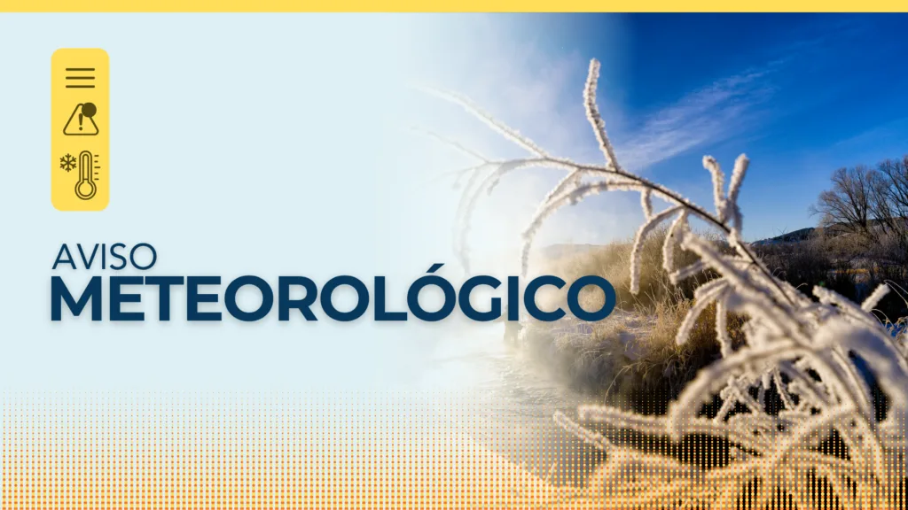 Arte de aviso meteorológico da Defesa Civil de Santa Catarina com vegetação coberta de geada