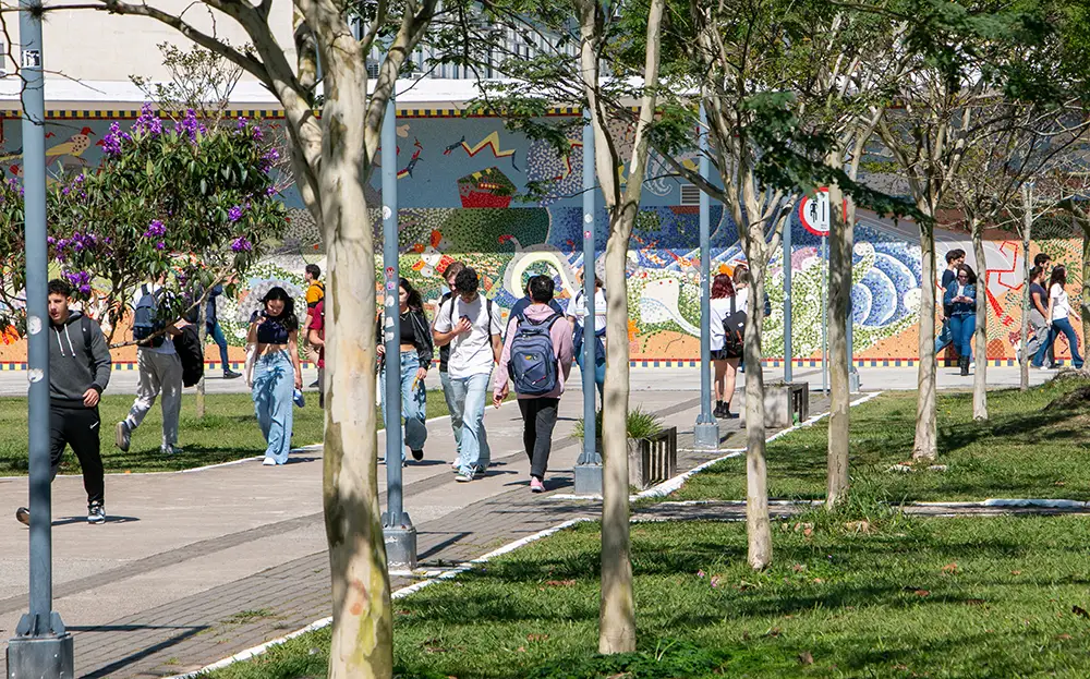 Estudantes caminham por alameda arborizada do campus da UFSC em Florianópolis